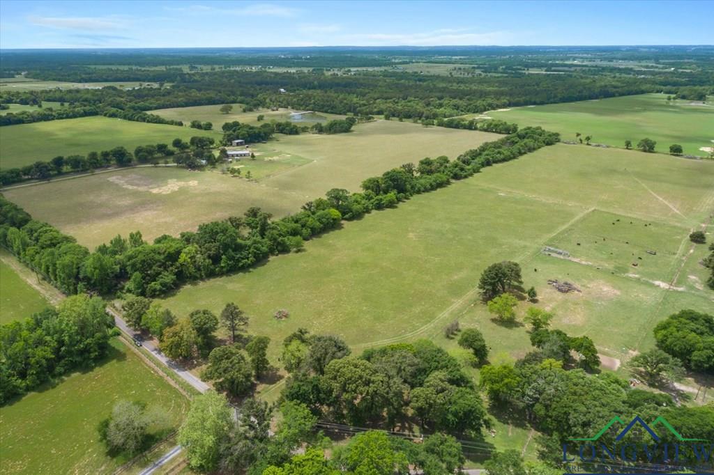 20+/- Acres Vz County Road 4412 Road, Ben Wheeler, Texas image 5