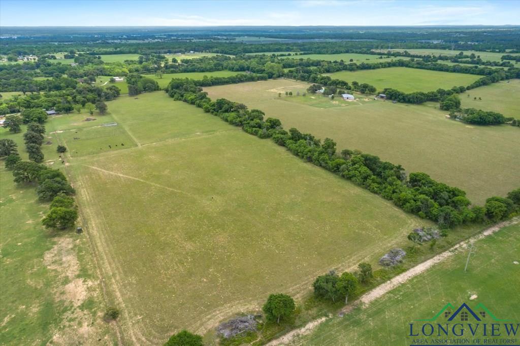 20+/- Acres Vz County Road 4412 Road, Ben Wheeler, Texas image 11