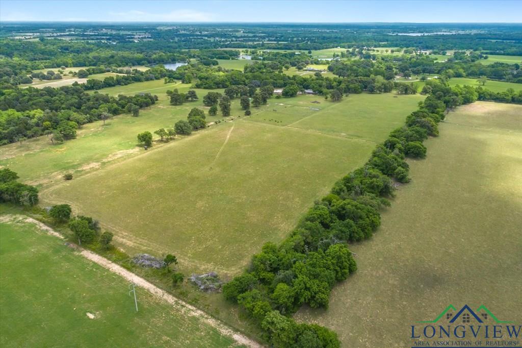 20+/- Acres Vz County Road 4412 Road, Ben Wheeler, Texas image 9