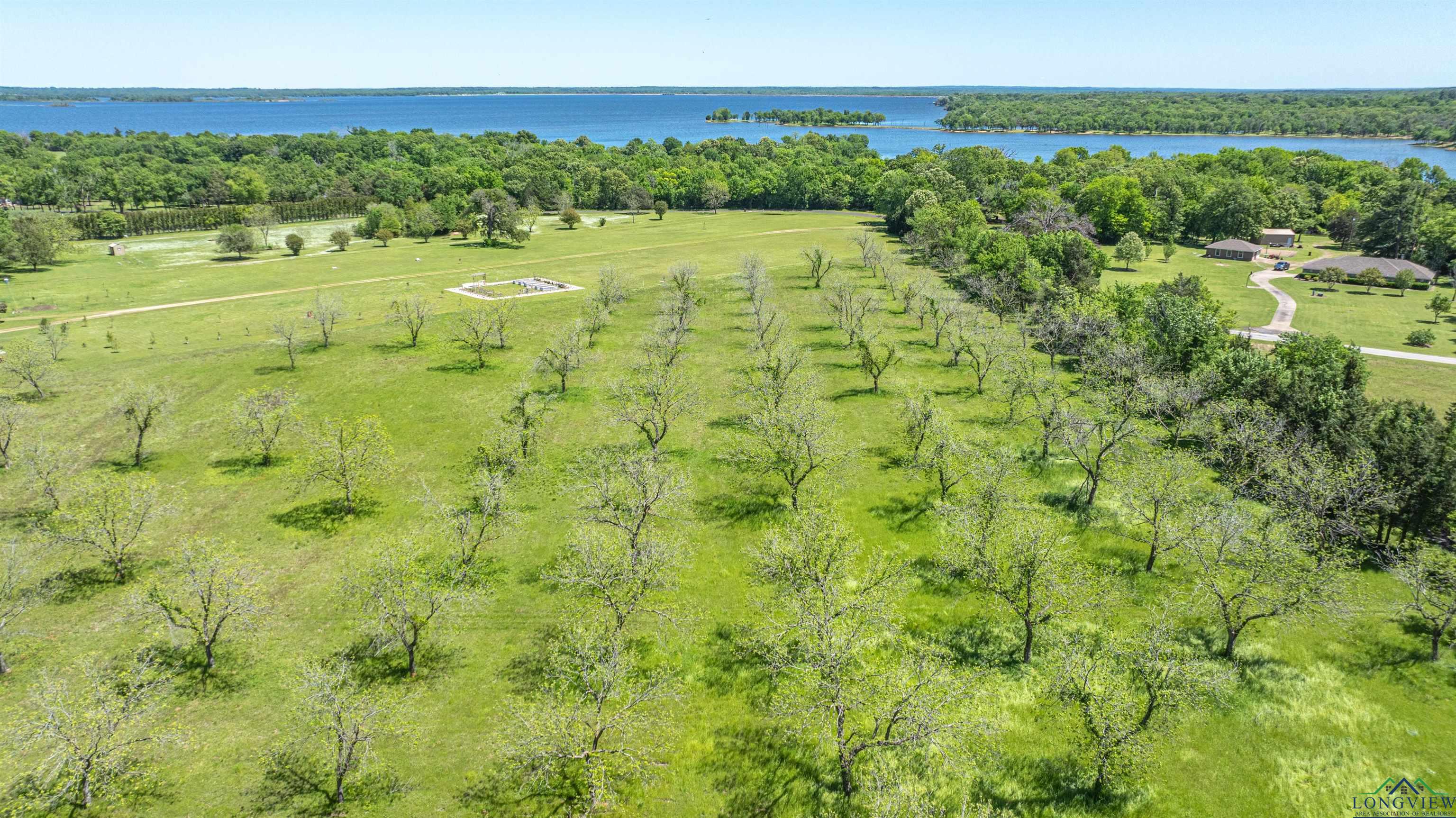 TBD Cr 1580, Alba, Texas image 5