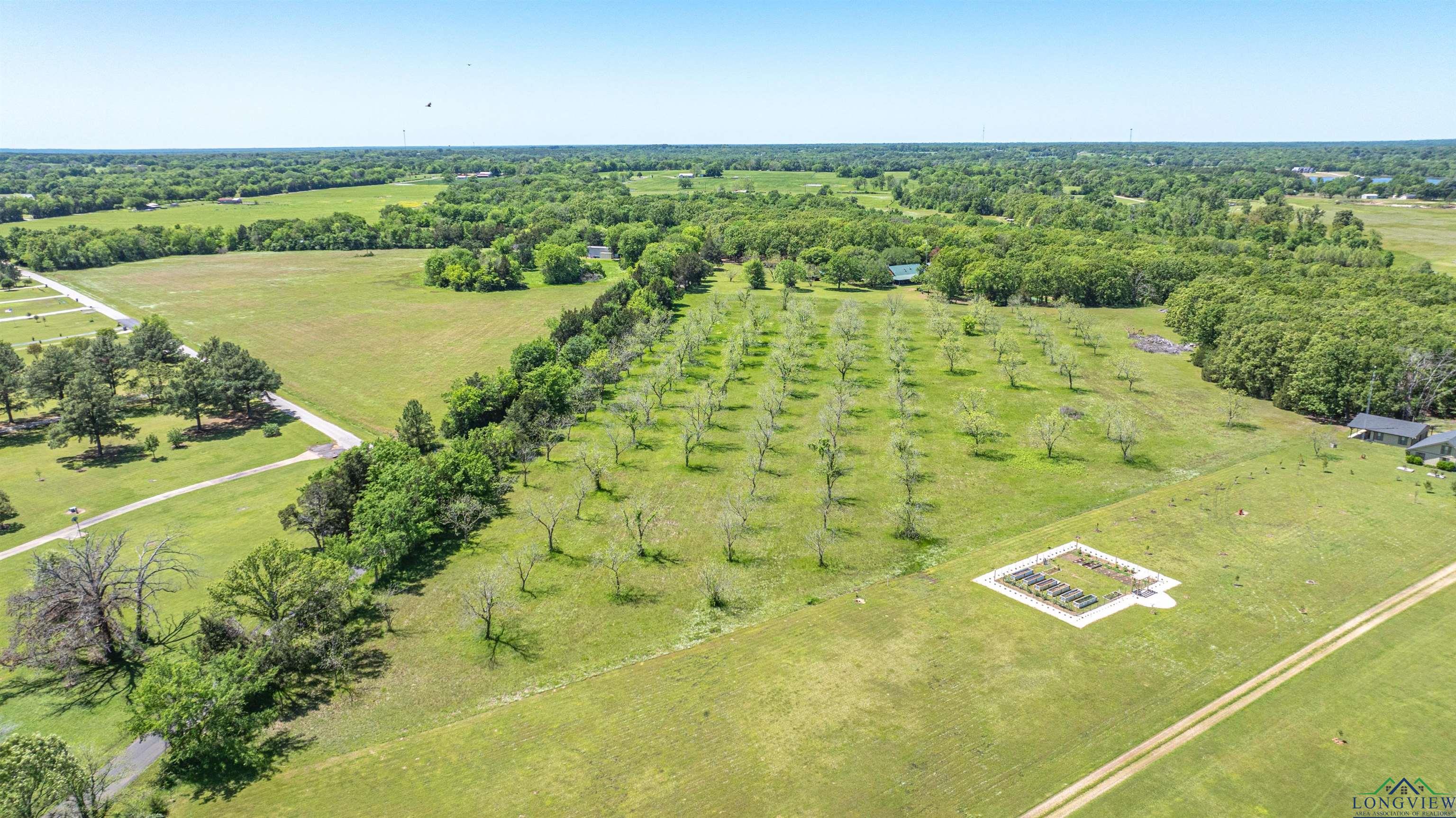 TBD Cr 1580, Alba, Texas image 6