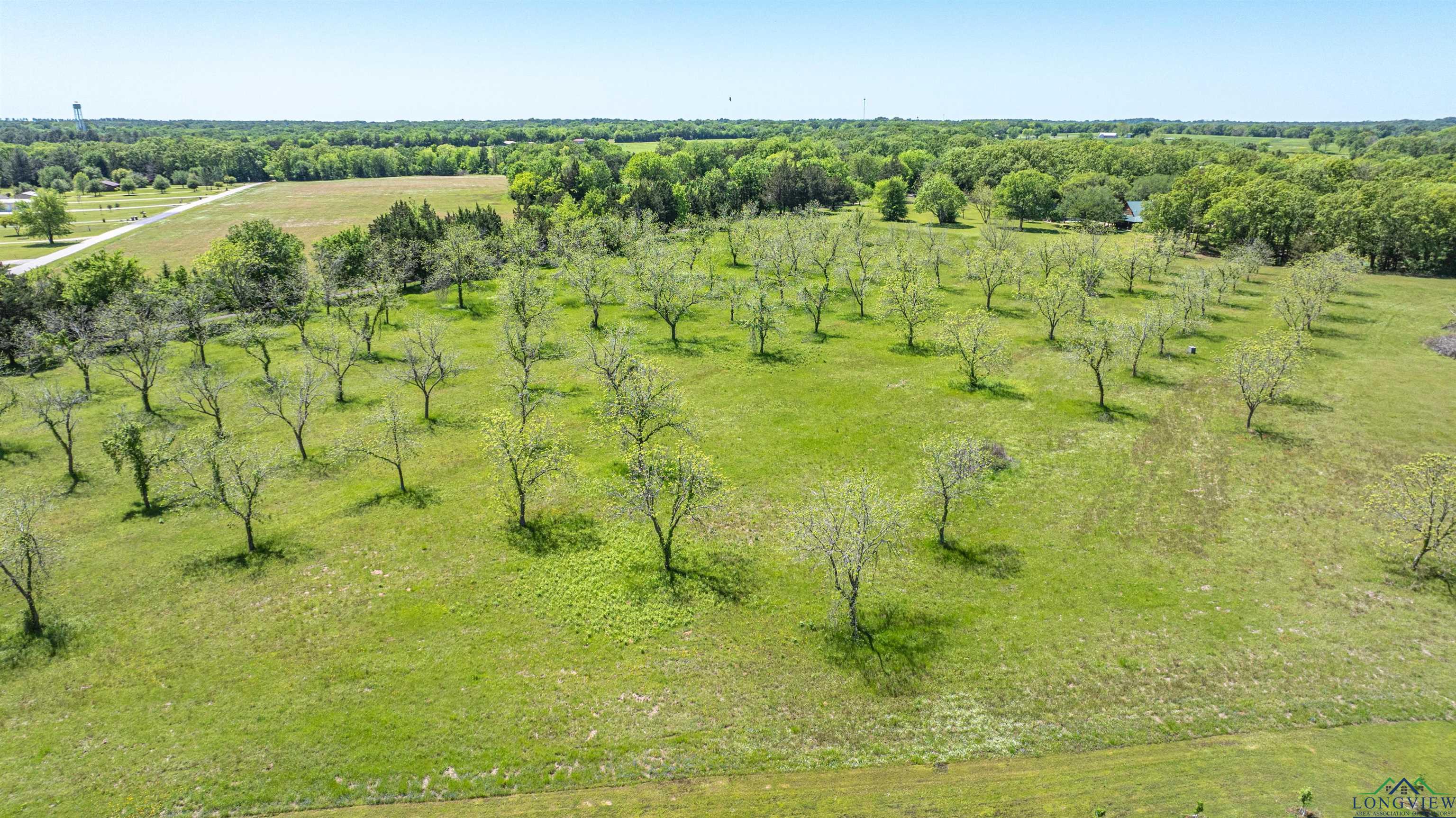 TBD Cr 1580, Alba, Texas image 7