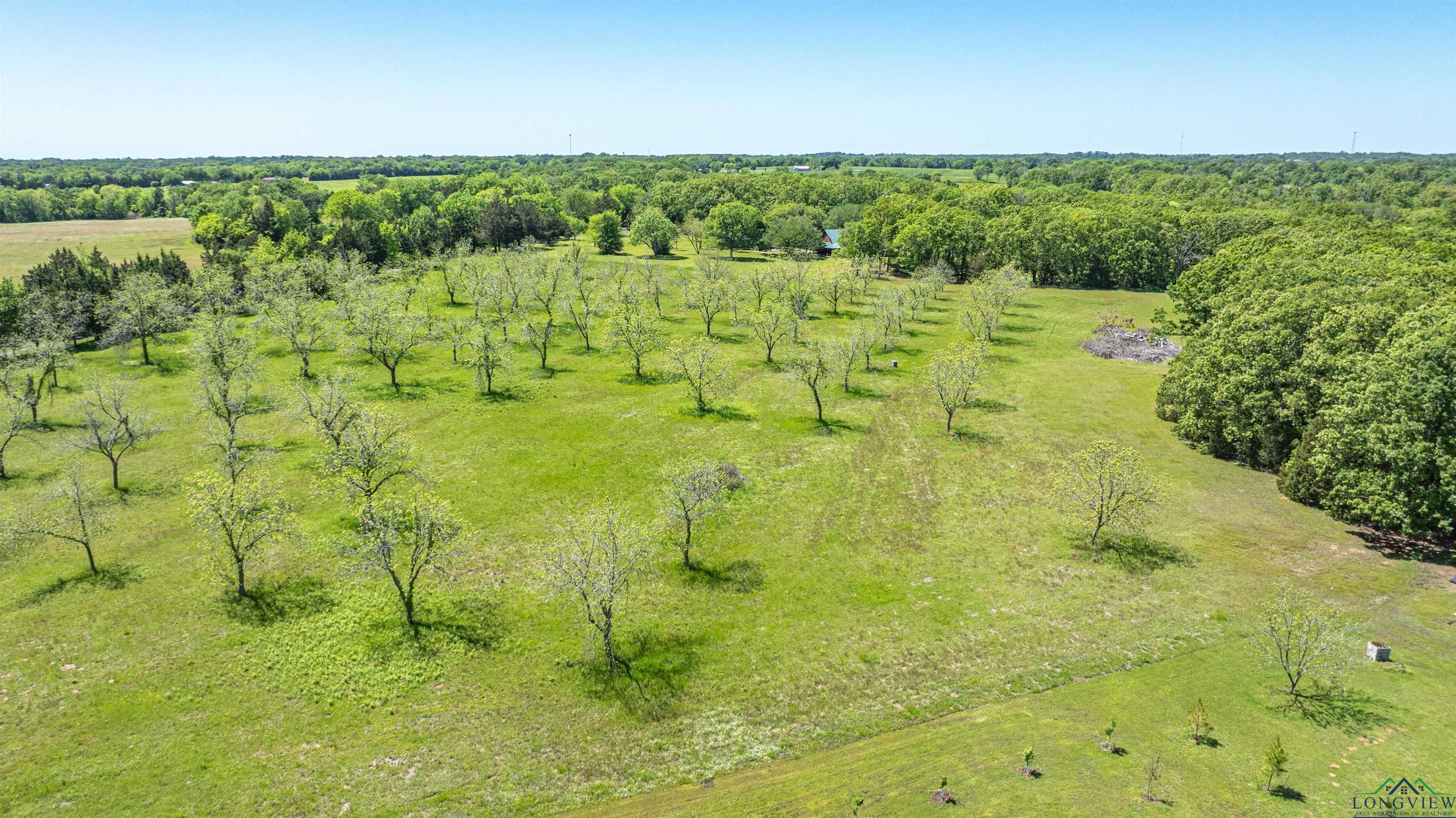 TBD Cr 1580, Alba, Texas image 8