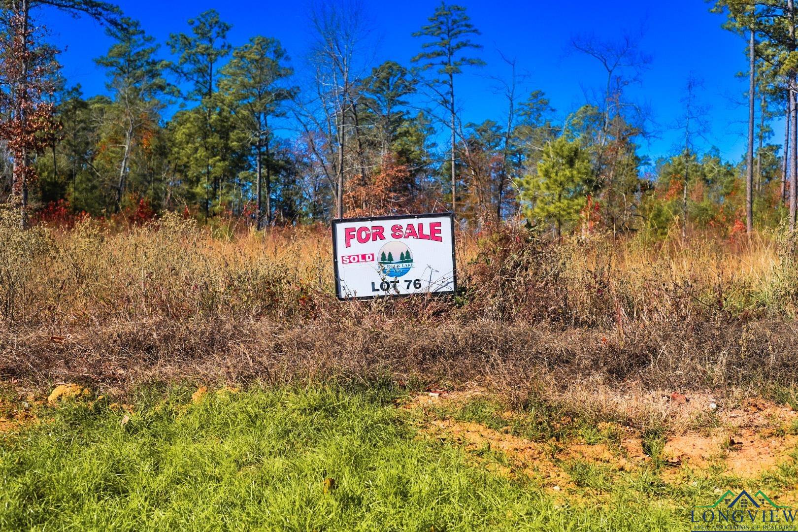 76 Granite Lane, Hallsville, Texas image 2