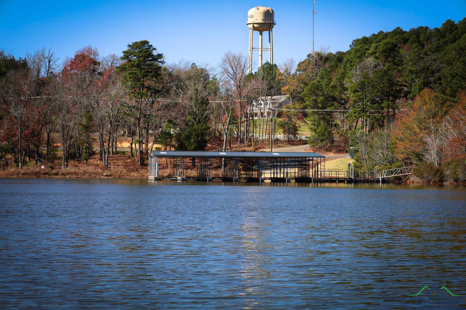 76 Granite Lane, Hallsville, Texas image 10