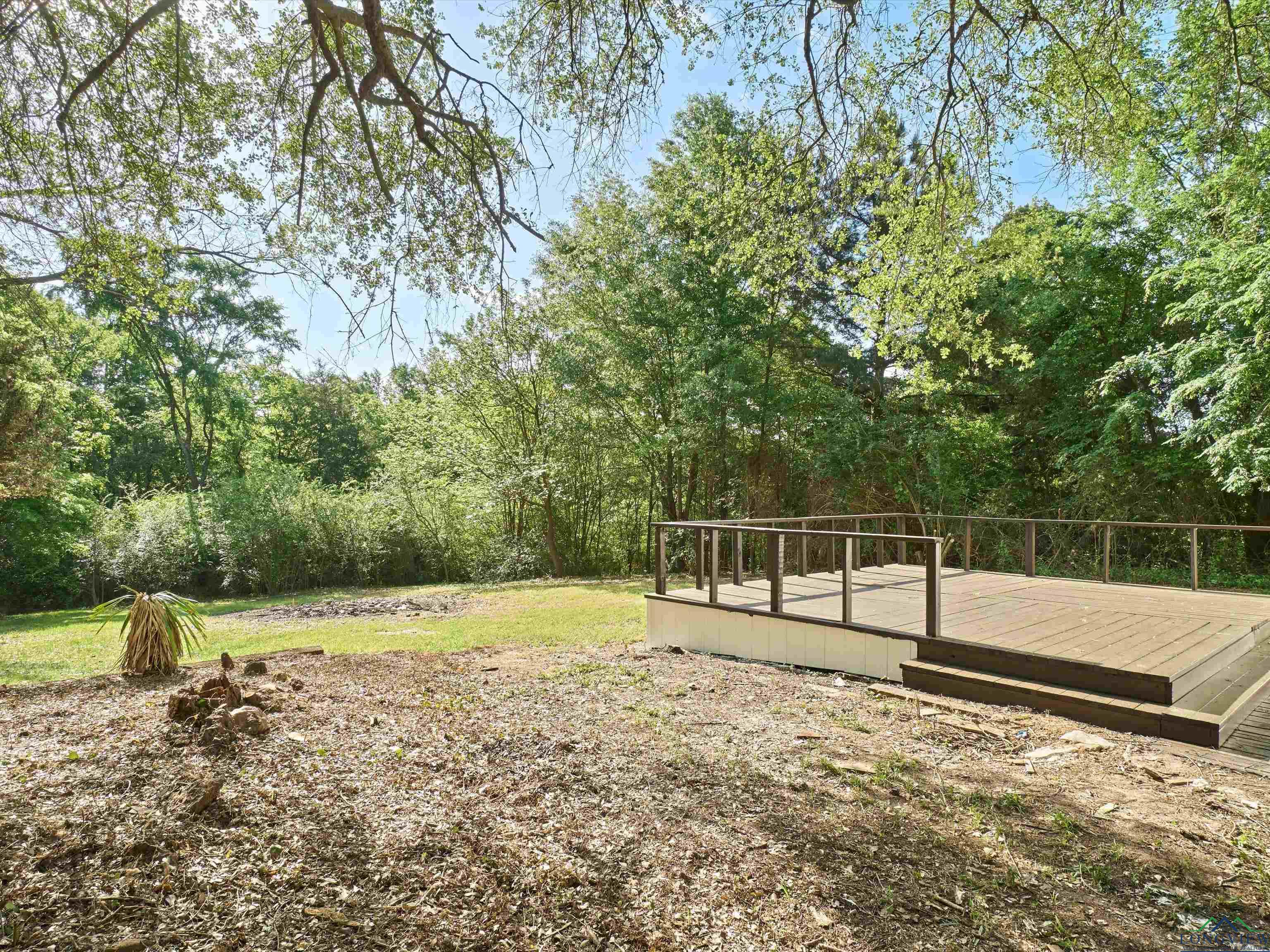2811 Blackhaw Rd, Gilmer, Texas image 8