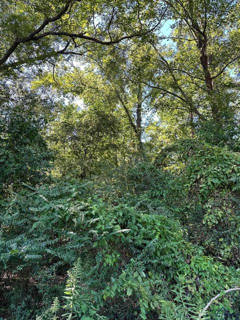 Vacant Land For Sale - TBD Friou<br/> Jefferson, TX 75657