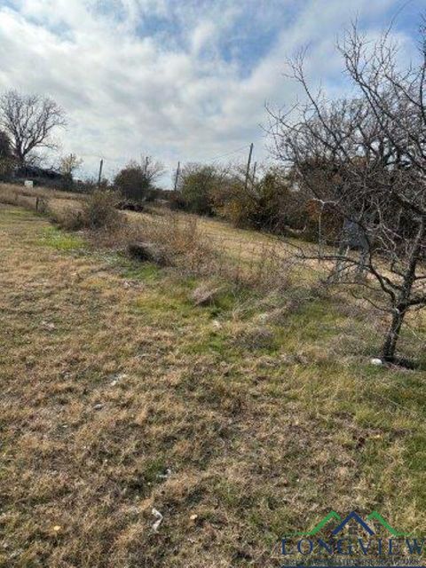 A home in Mineral Wells