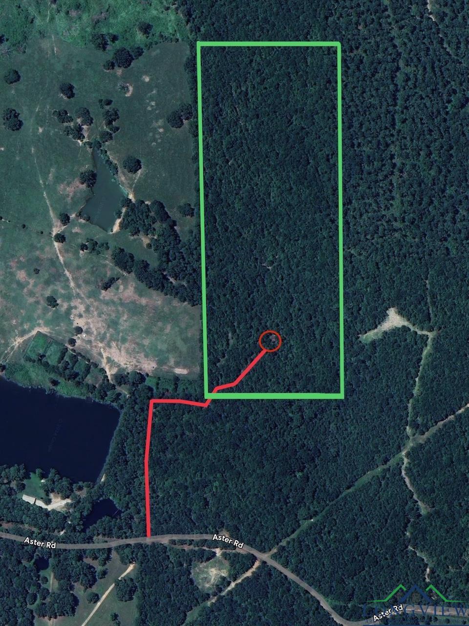 TBD Aster Road (26.32 Acres), Gilmer, Texas image 45