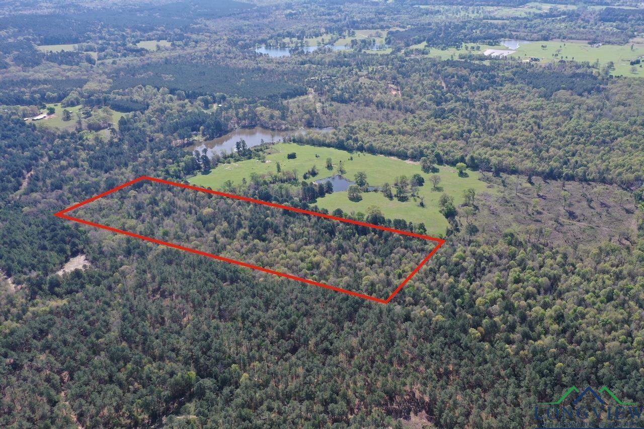 TBD Aster Road (26.32 Acres), Gilmer, Texas image 7