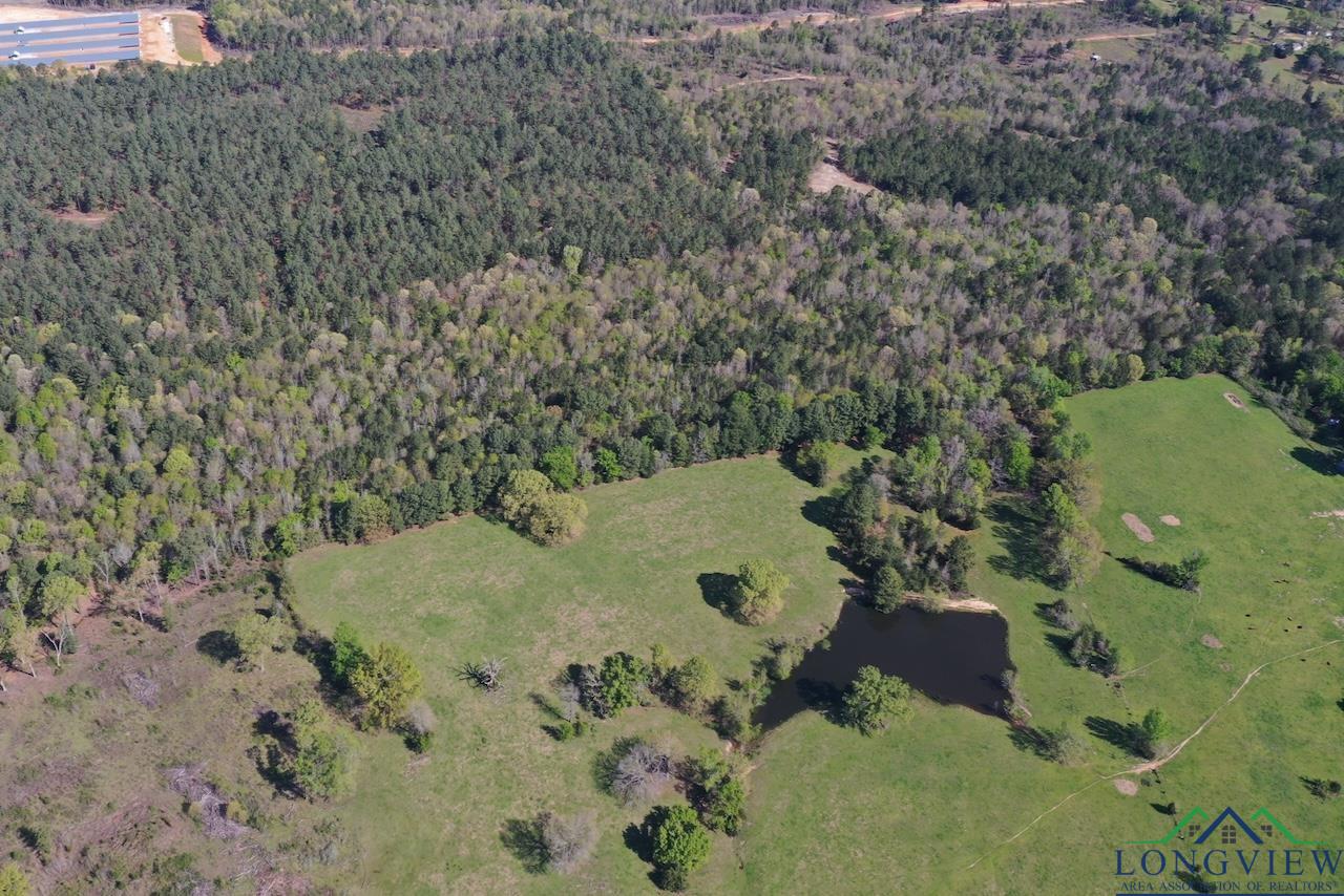 TBD Aster Road (26.32 Acres), Gilmer, Texas image 13