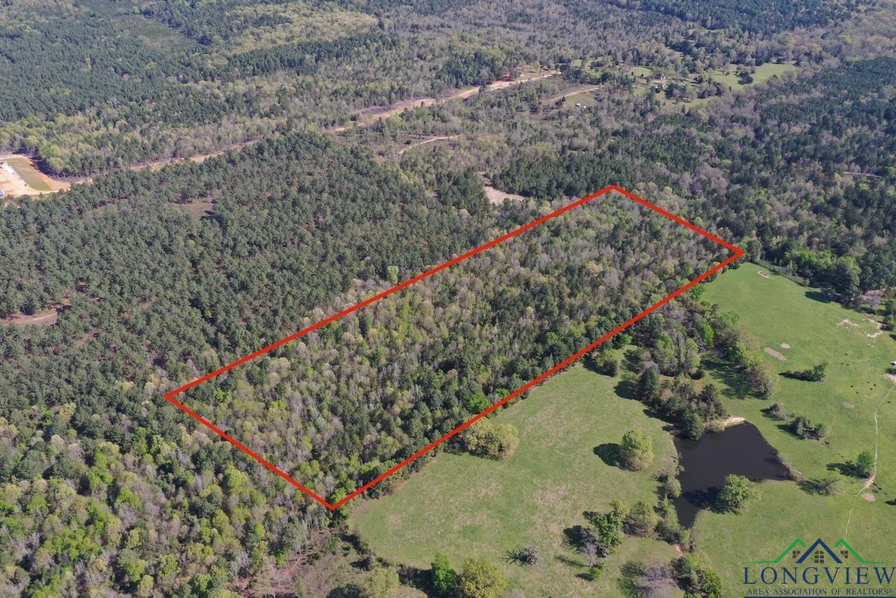 TBD Aster Road (26.32 Acres), Gilmer, Texas image 12