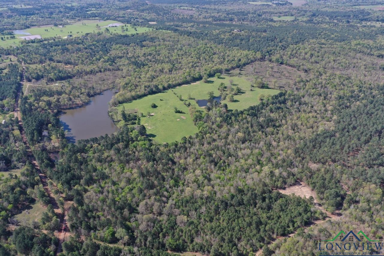 TBD Aster Road (26.32 Acres), Gilmer, Texas image 3