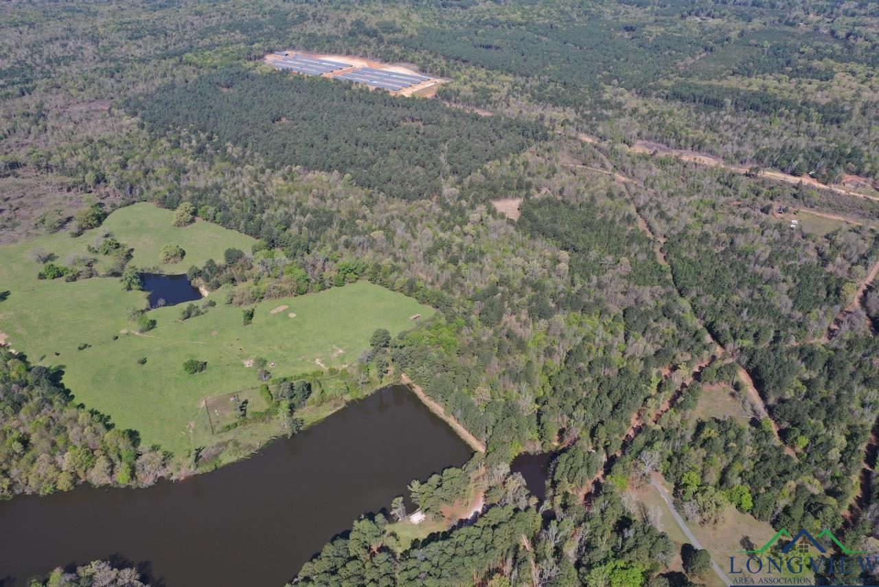 TBD Aster Road (26.32 Acres), Gilmer, Texas image 15