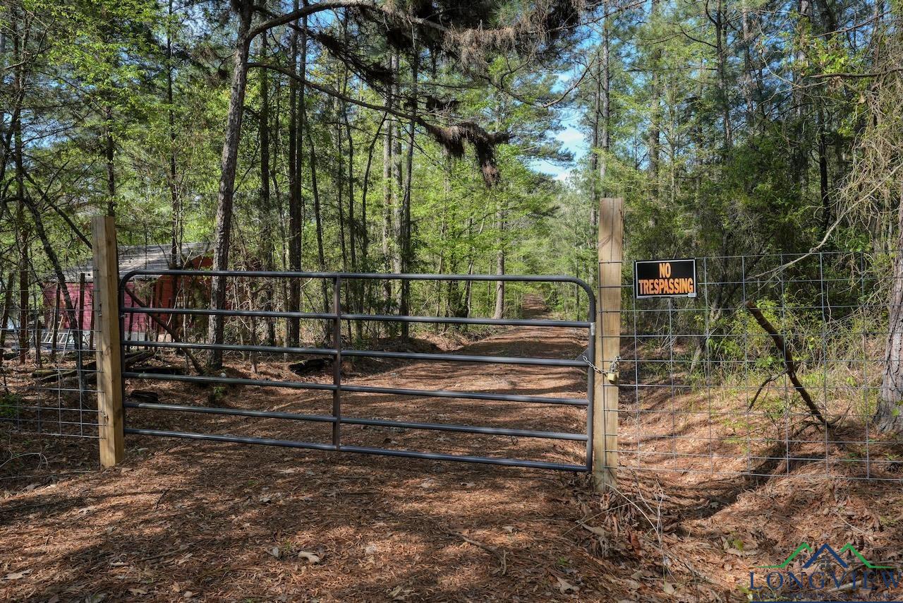 TBD Aster Road (26.32 Acres), Gilmer, Texas image 44