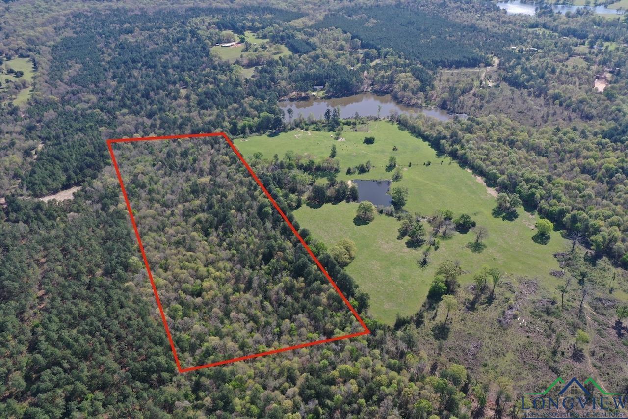 TBD Aster Road (26.32 Acres), Gilmer, Texas image 9