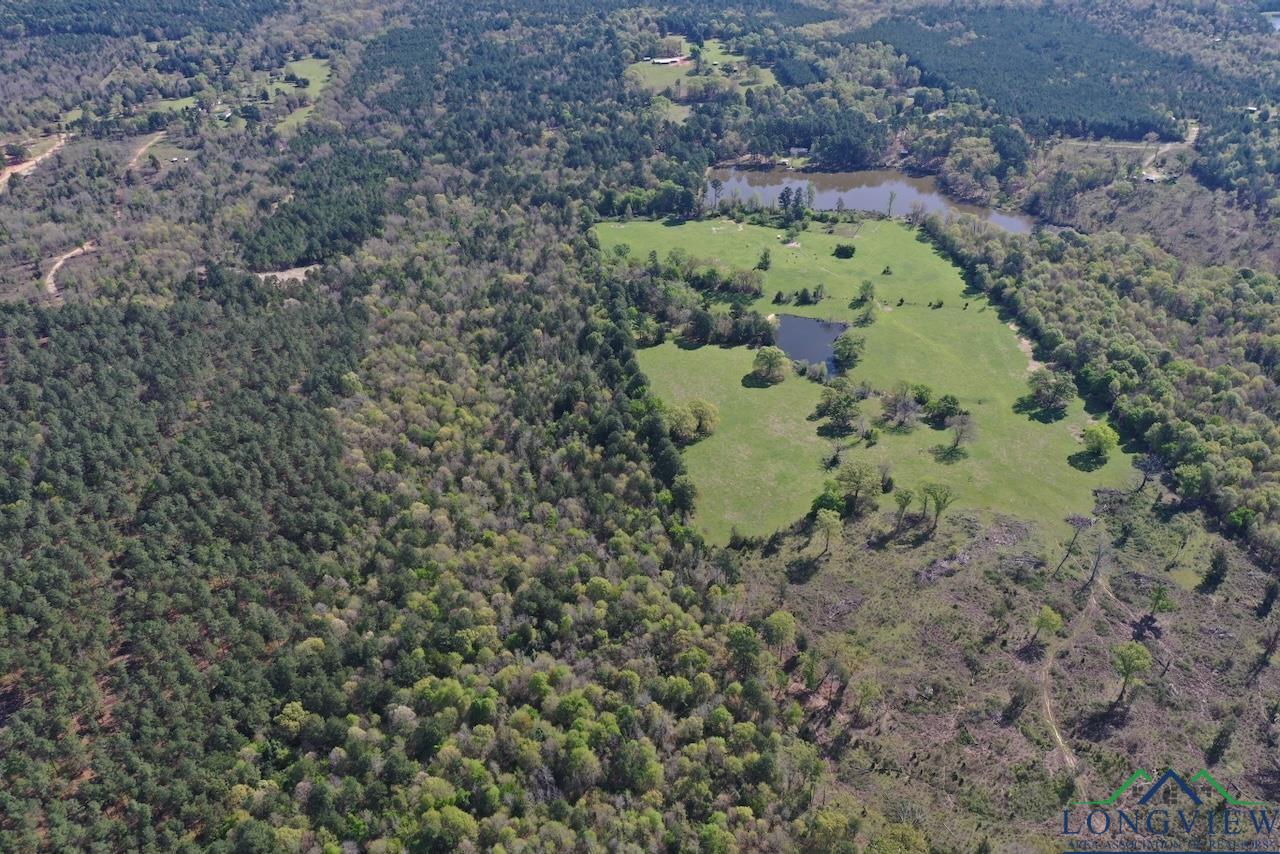 TBD Aster Road (26.32 Acres), Gilmer, Texas image 10