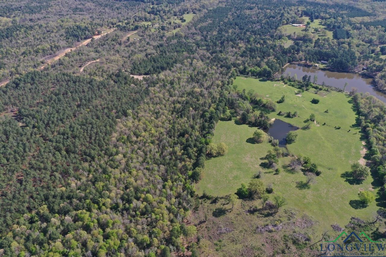 TBD Aster Road (26.32 Acres), Gilmer, Texas image 11