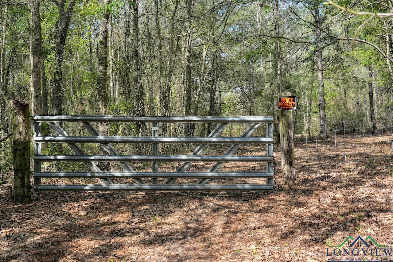 TBD Aster Road (26.32 Acres), Gilmer, Texas image 41