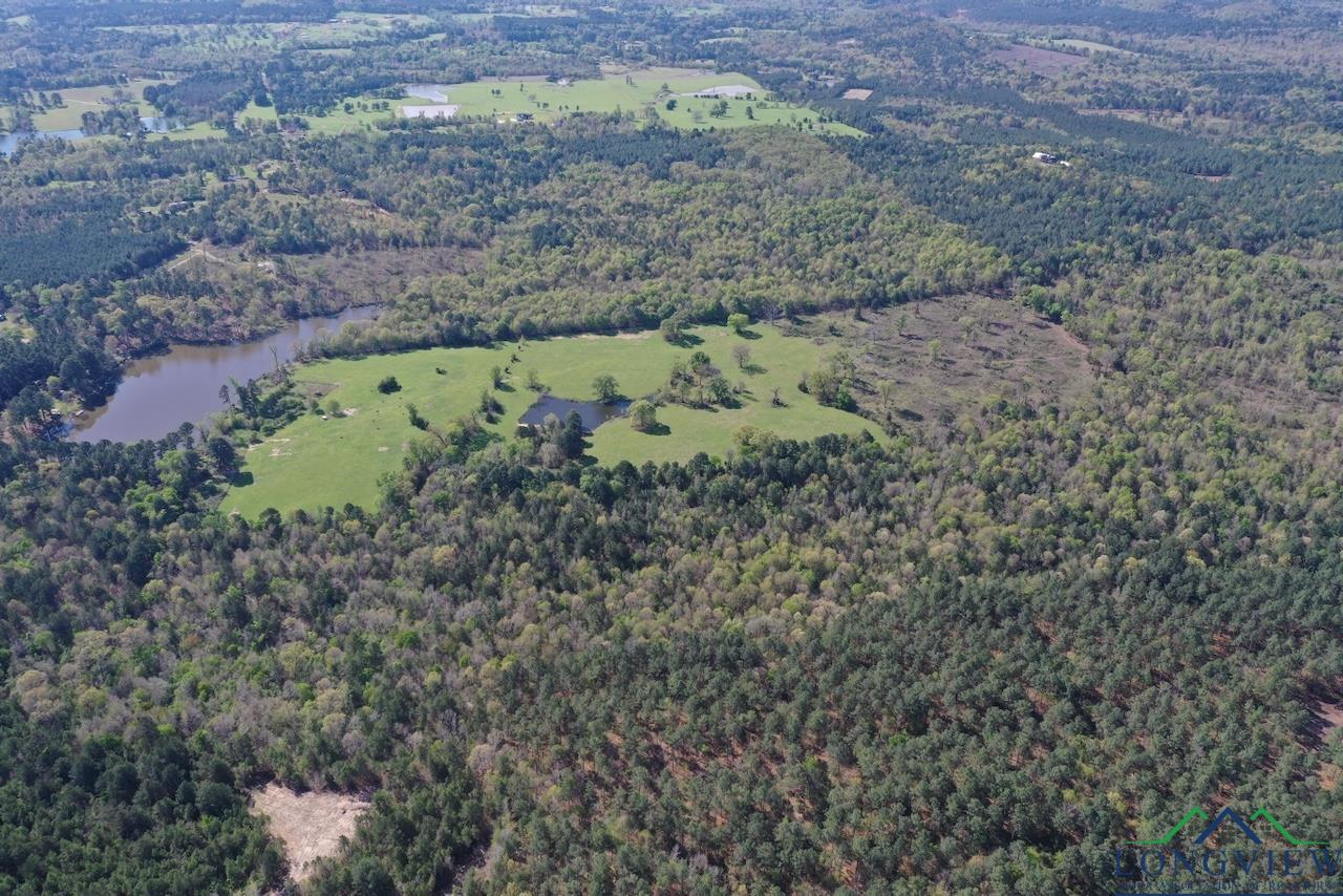 TBD Aster Road (26.32 Acres), Gilmer, Texas image 4