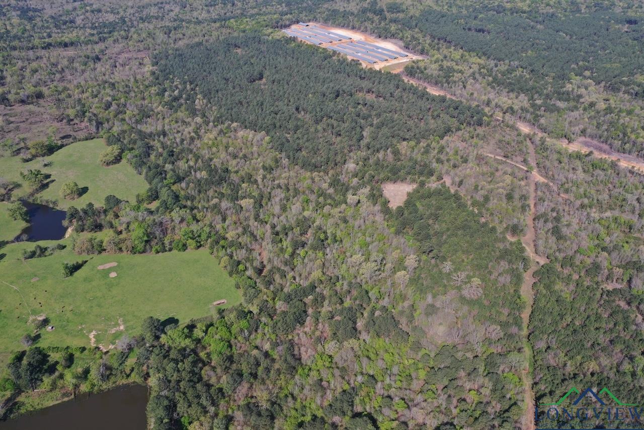 TBD Aster Road (26.32 Acres), Gilmer, Texas image 17