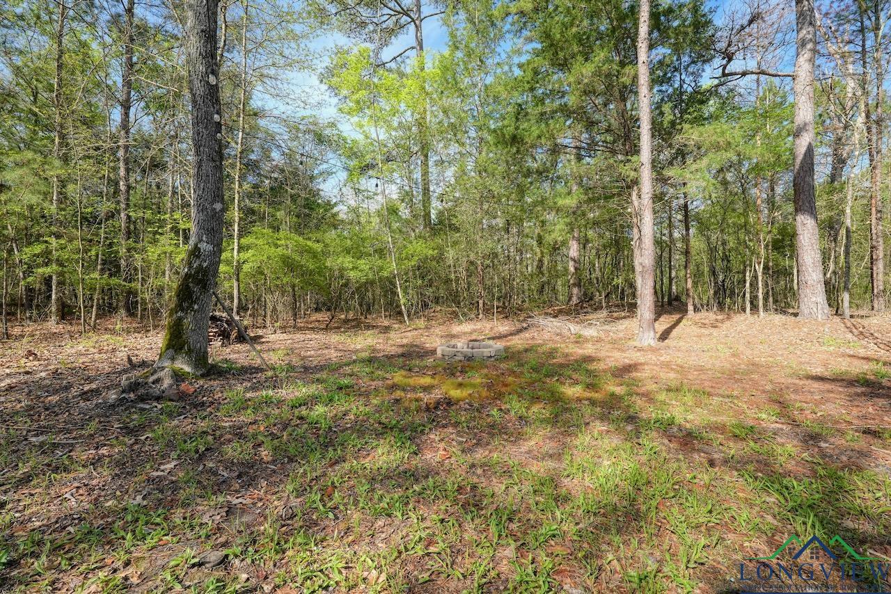 TBD Aster Road (26.32 Acres), Gilmer, Texas image 39