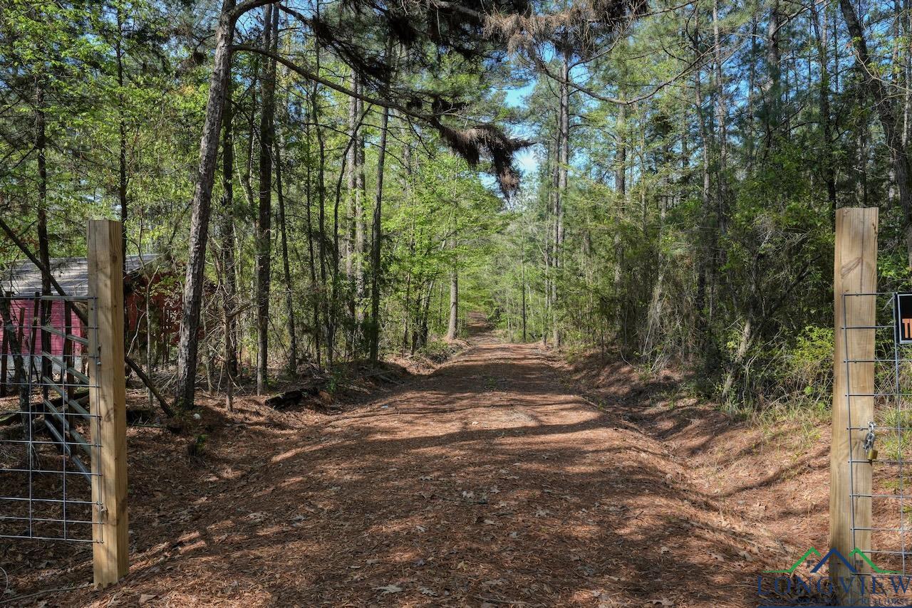 TBD Aster Road (26.32 Acres), Gilmer, Texas image 43