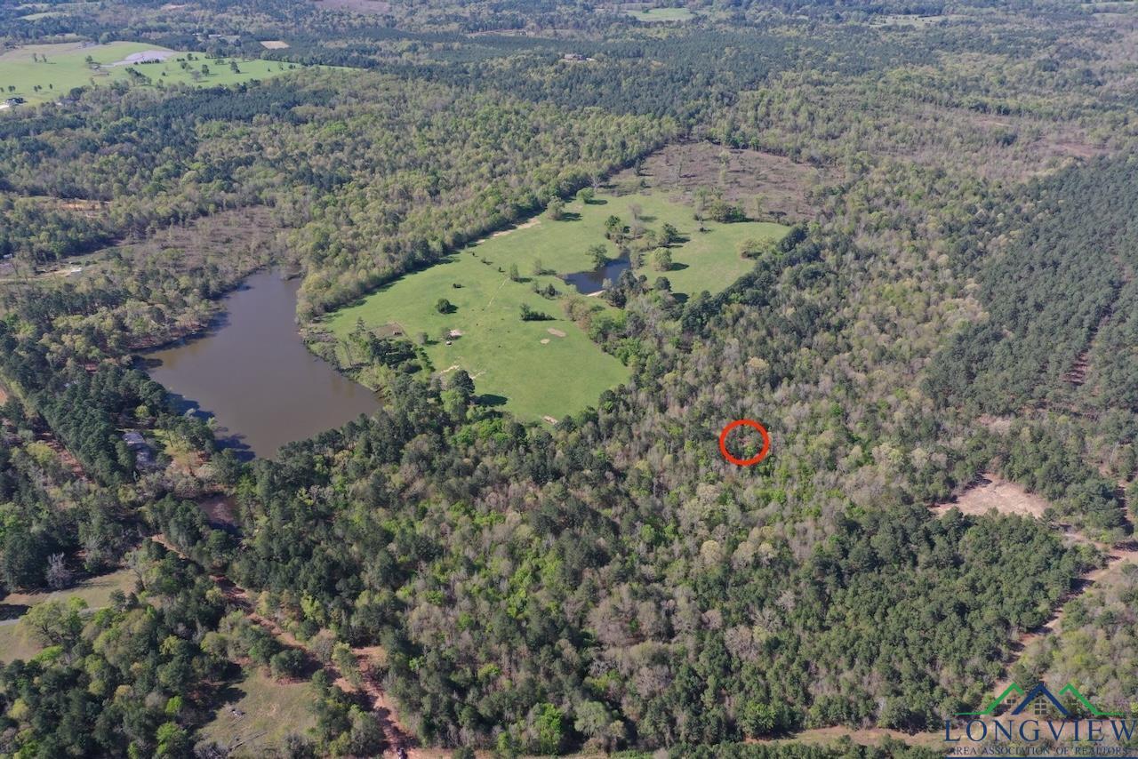 TBD Aster Road (26.32 Acres), Gilmer, Texas image 2