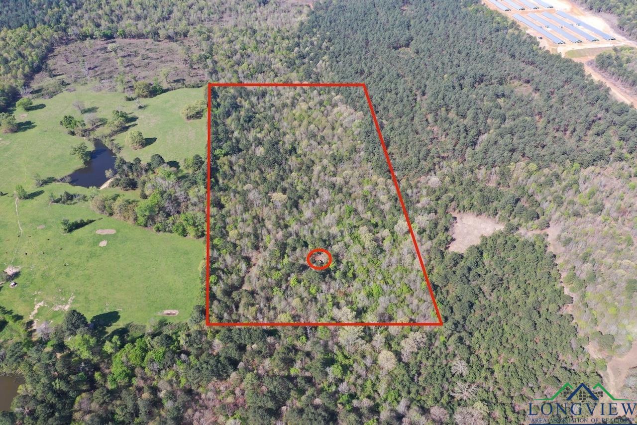 TBD Aster Road (26.32 Acres), Gilmer, Texas image 1