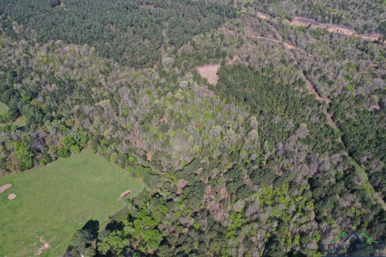 TBD Aster Road (26.32 Acres), Gilmer, Texas image 18