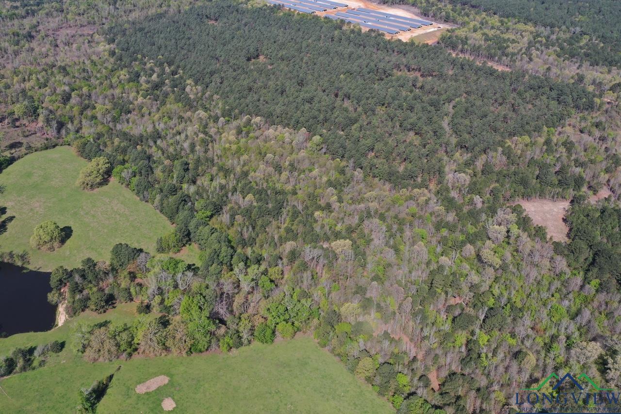 TBD Aster Road (26.32 Acres), Gilmer, Texas image 19