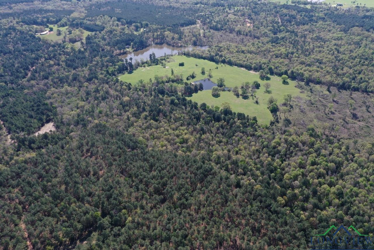 TBD Aster Road (26.32 Acres), Gilmer, Texas image 8