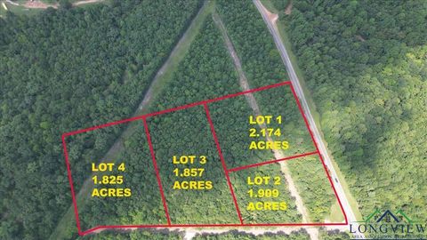 Vacant Land For Sale - TBD LOT 4 Cactus Rd<br/> Upshur County, Pittsburg, TX 75686