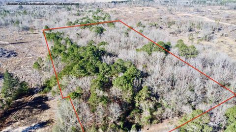 Vacant Land For Sale - TBD Fm 161 N<br/> Cass County, Naples, TX 75656