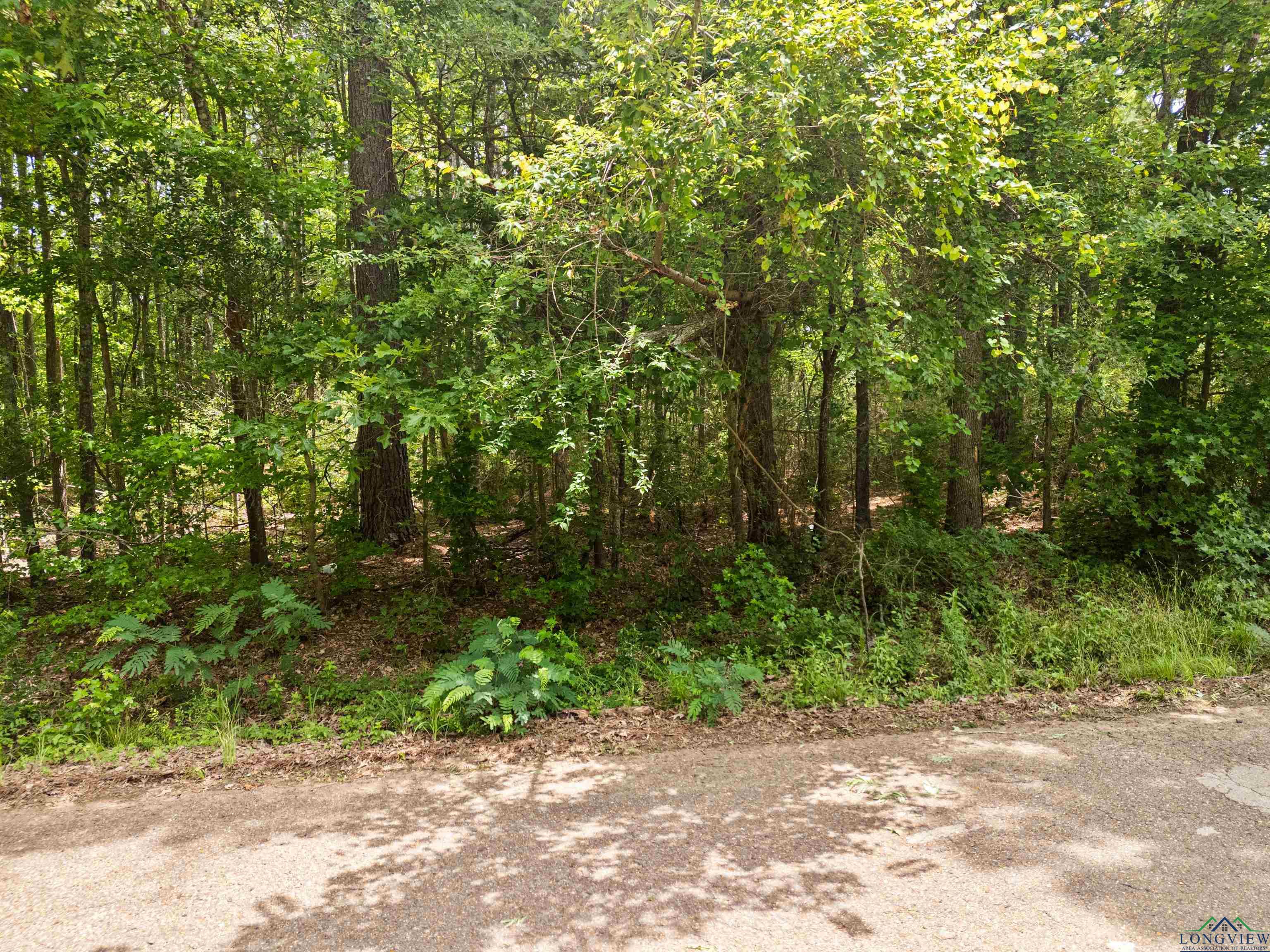 TBD Amos Rd, Longview, Texas image 2