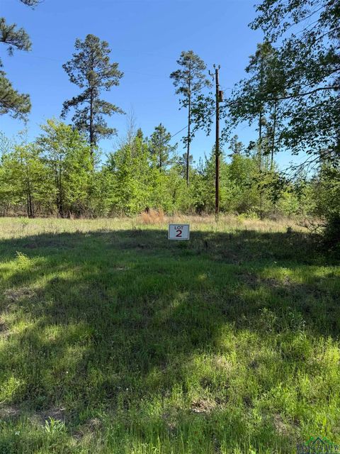 Vacant Land For Sale - TBD LOT 2 S Fm 839<br/> Rusk County, Henderson, TX 75652