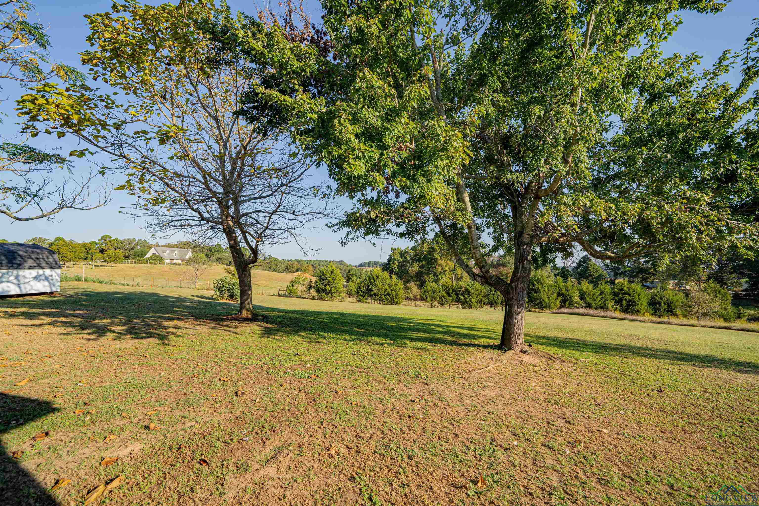 1831 Scarlet Oak Rd, Gilmer, Texas image 29