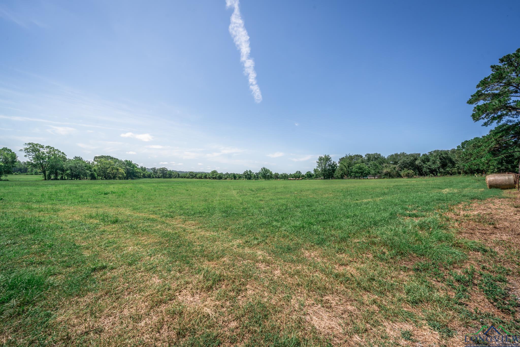 TBD Cr 401 S St, Henderson, Texas image 8