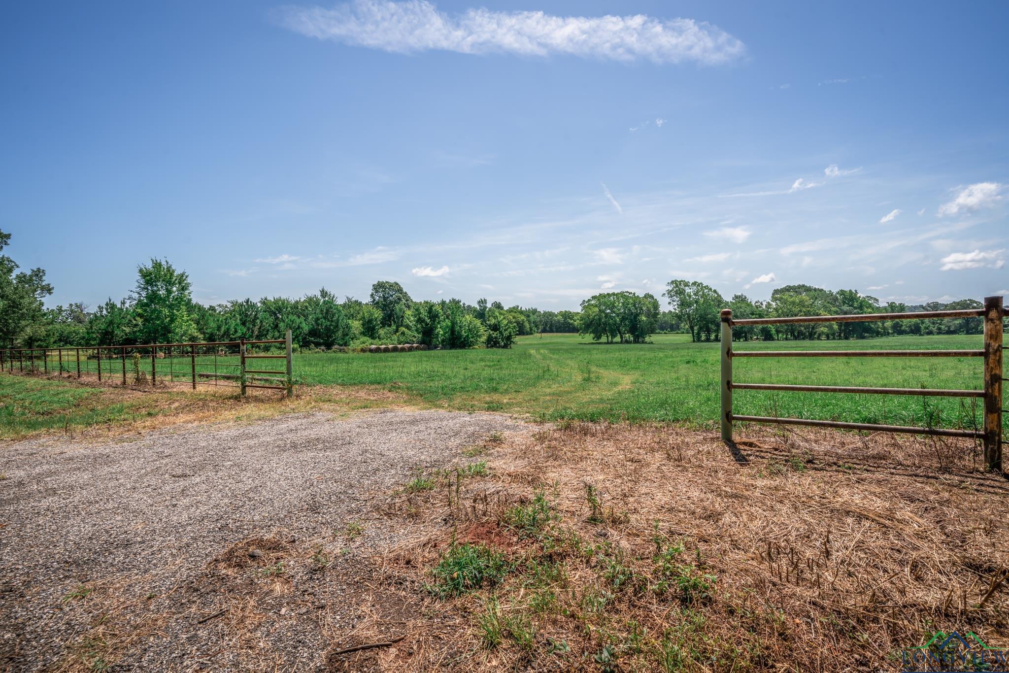 TBD Cr 401 S St, Henderson, Texas image 3