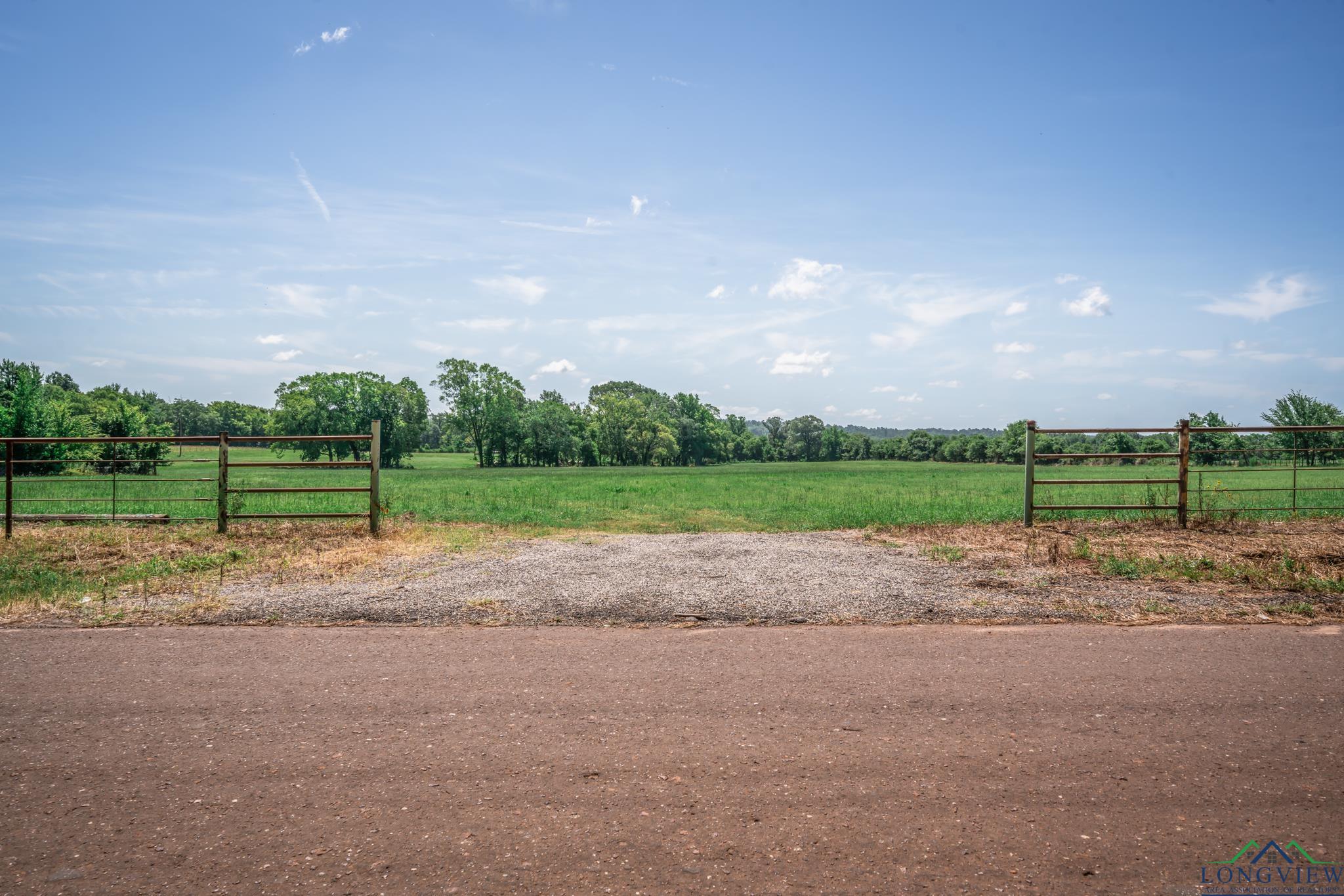 TBD Cr 401 S St, Henderson, Texas image 4