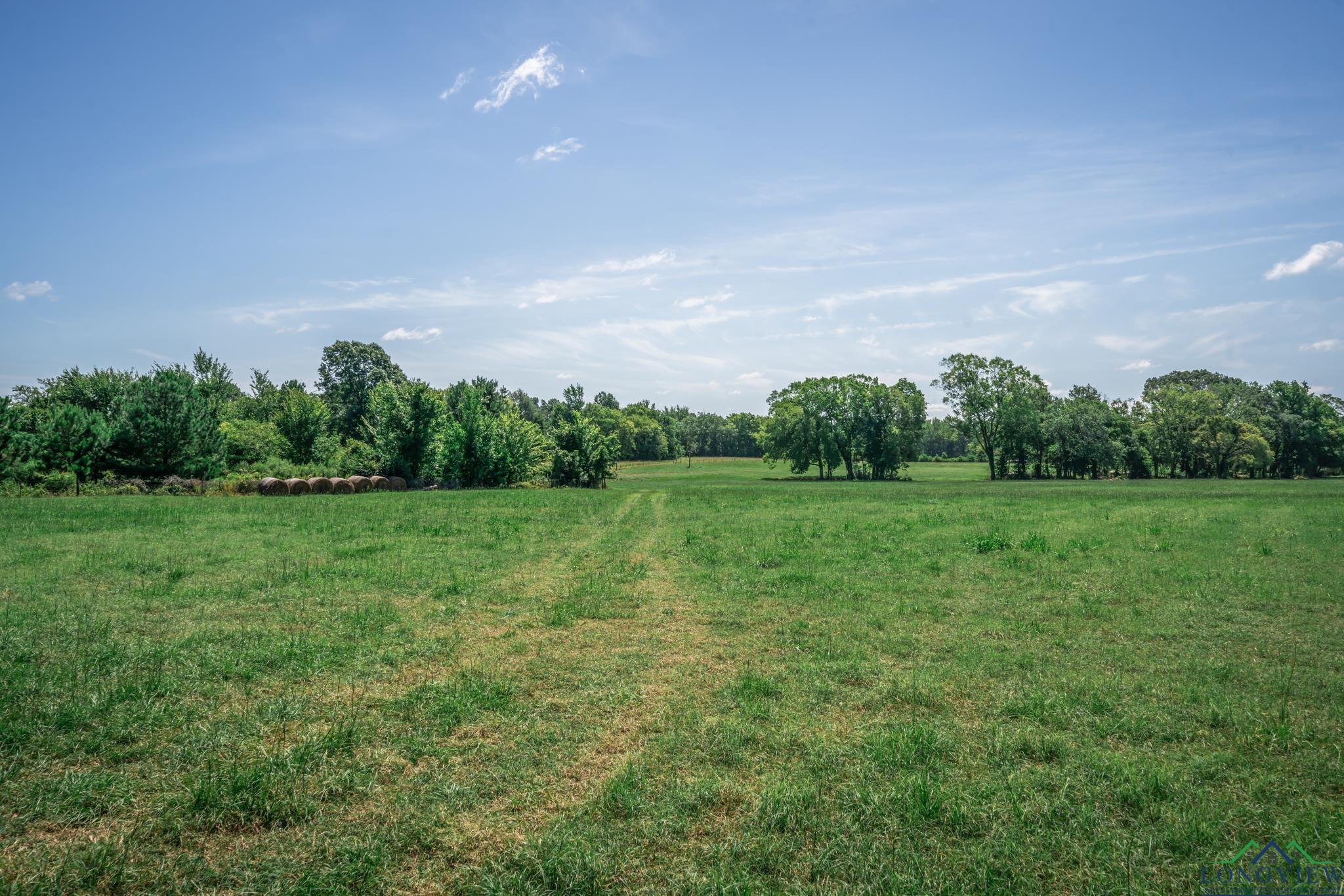 TBD Cr 401 S St, Henderson, Texas image 12