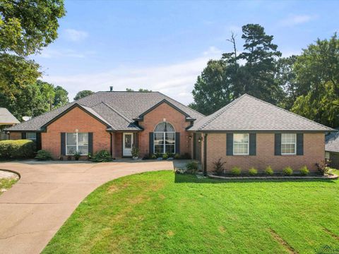 A home in Hallsville