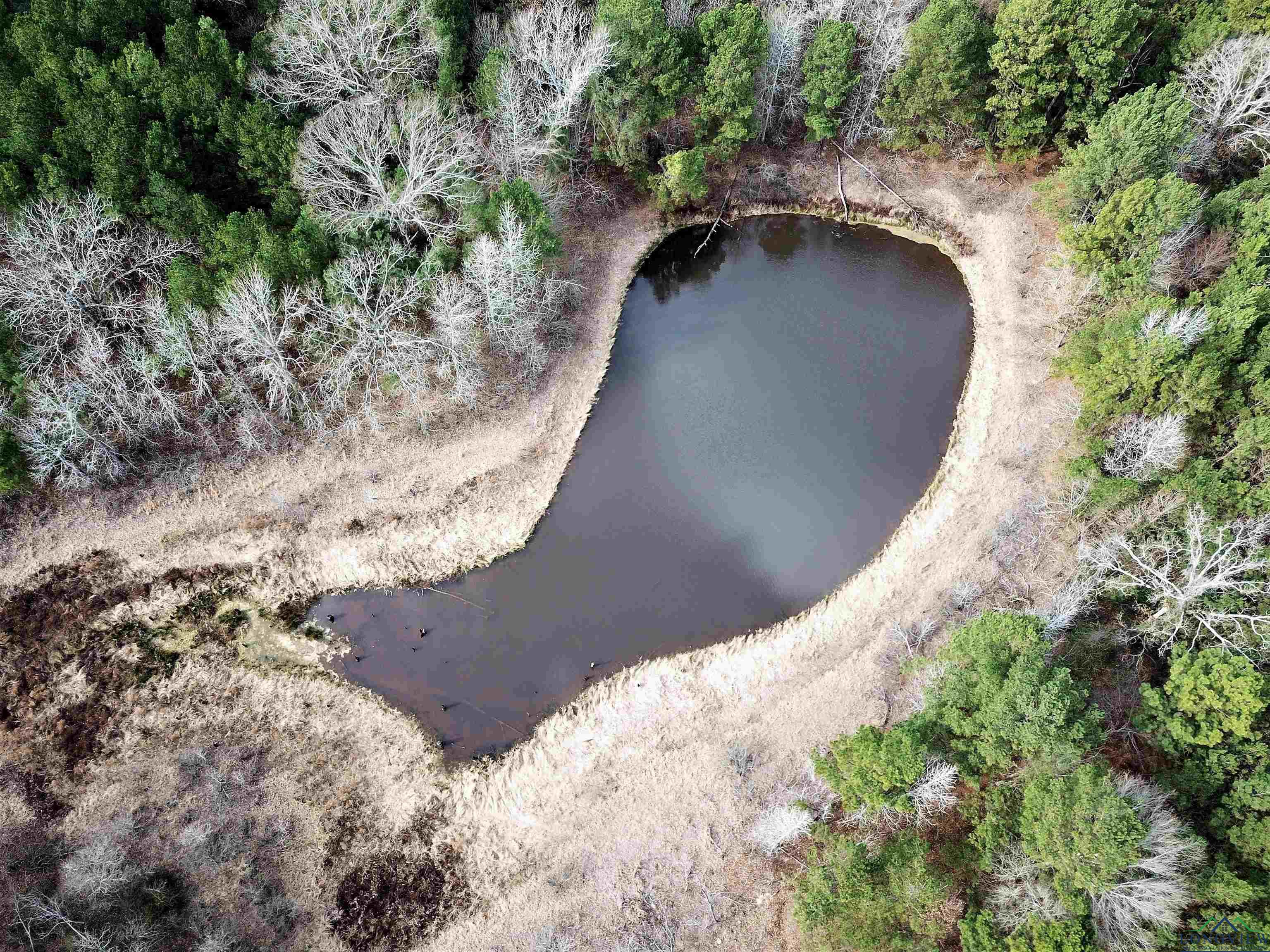 TBD Fm 2204, Kilgore, Texas image 6