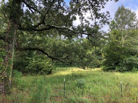 Vacant Land For Sale - TBD Cr 347<br/> Rusk County, Henderson, TX 75654
