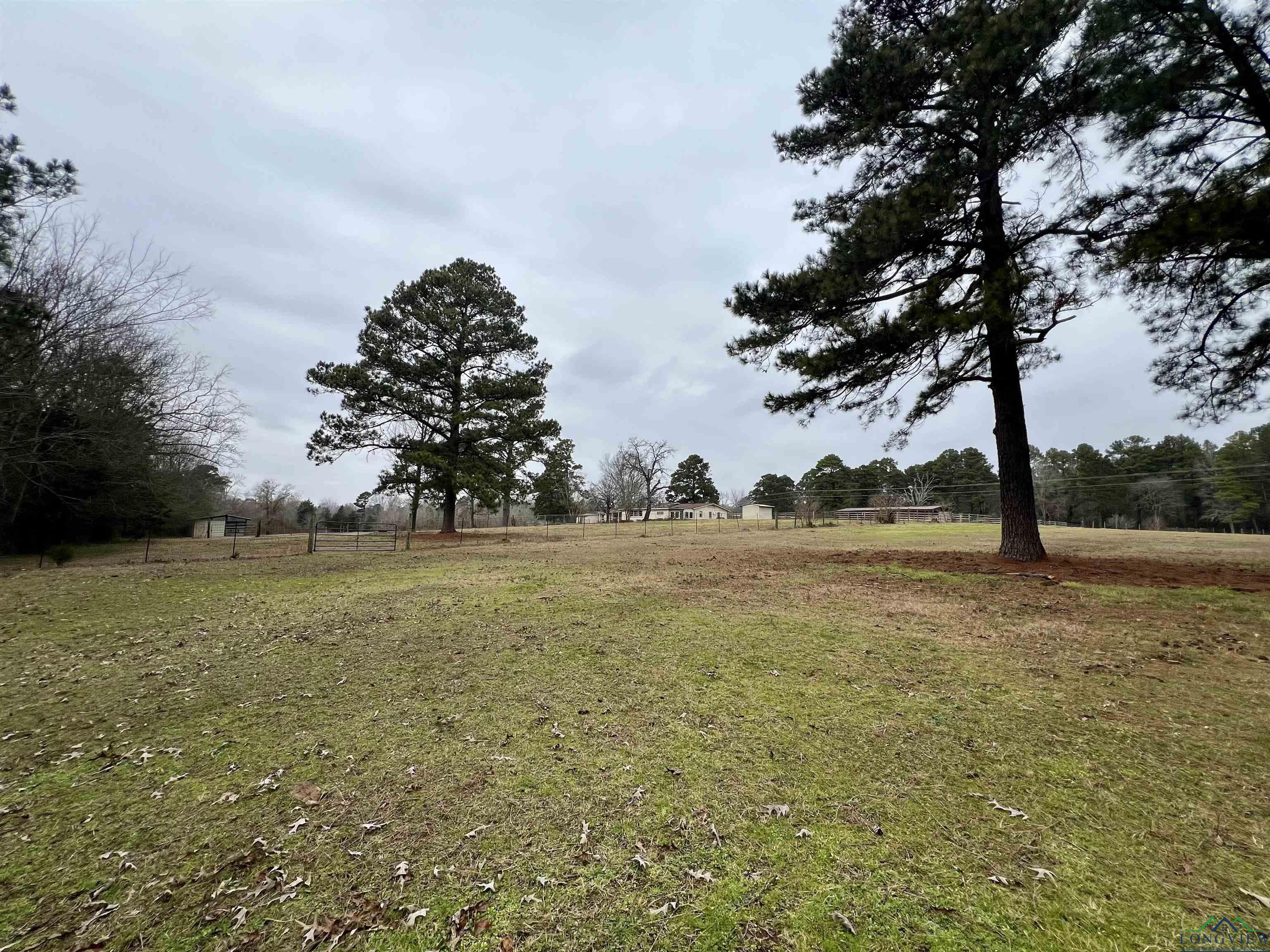 7936 County Road 294 E Road, Kilgore, Texas image 33