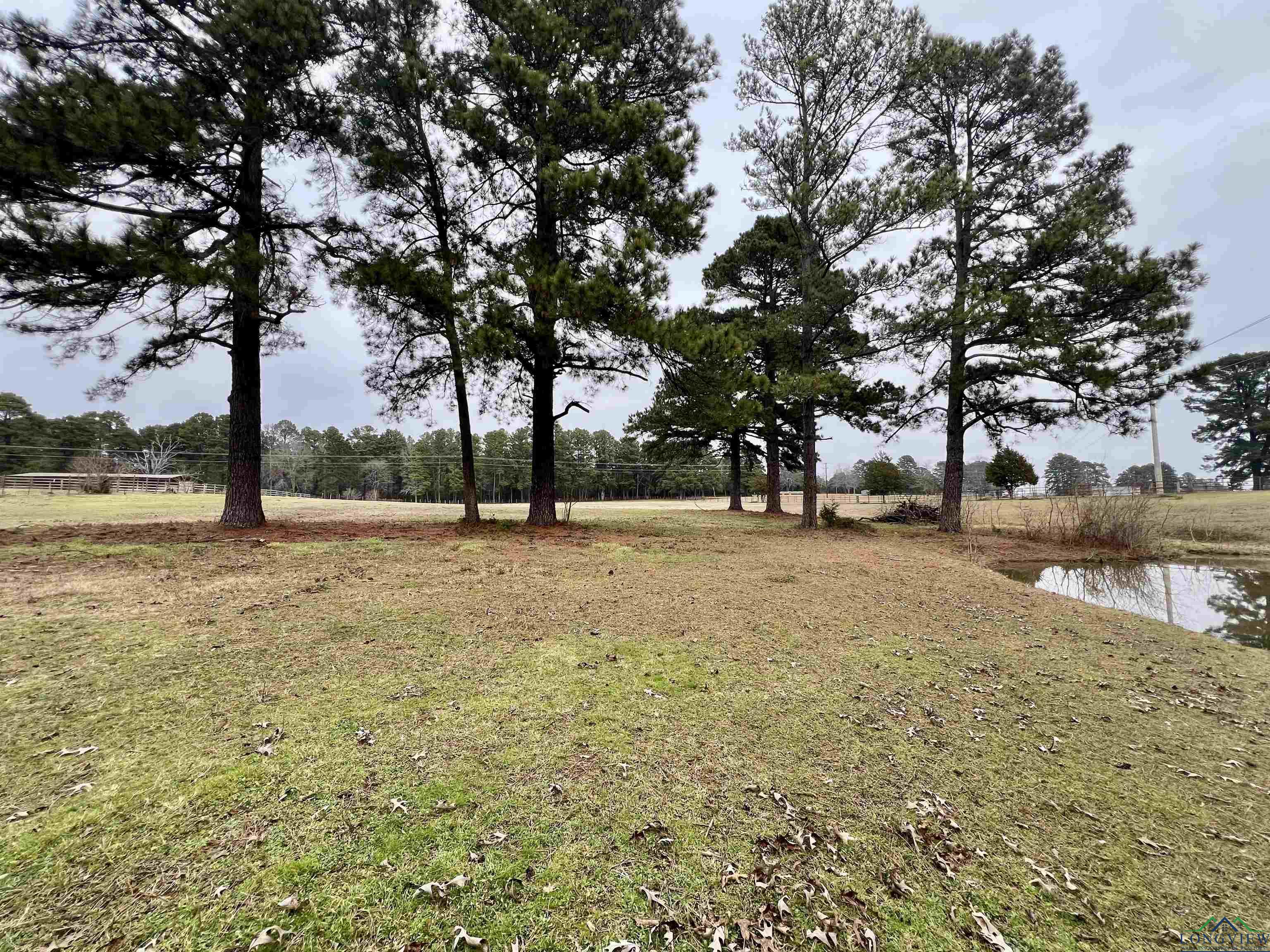 7936 County Road 294 E Road, Kilgore, Texas image 32