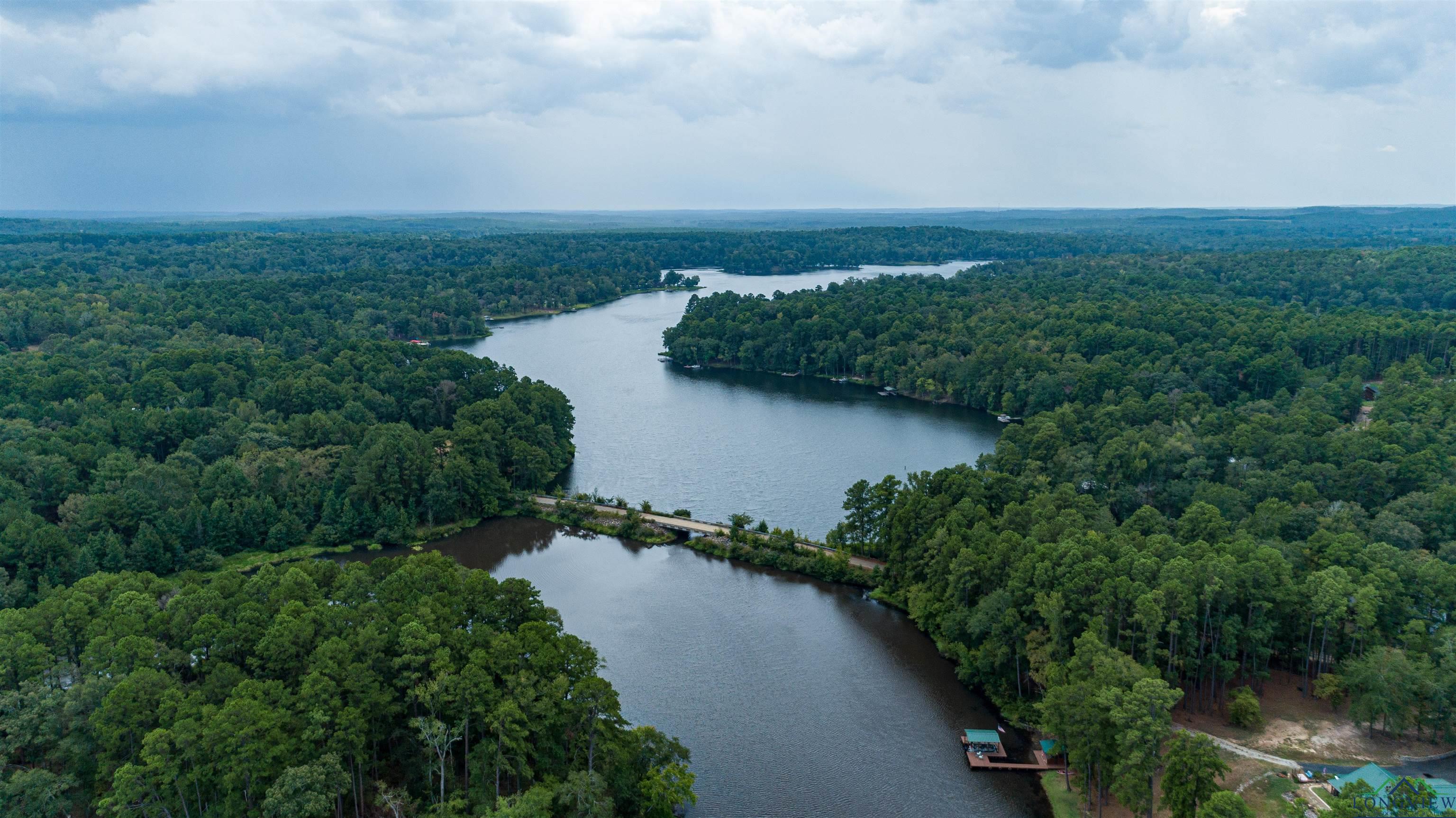 903 Cr 1537, Avinger, Texas image 12