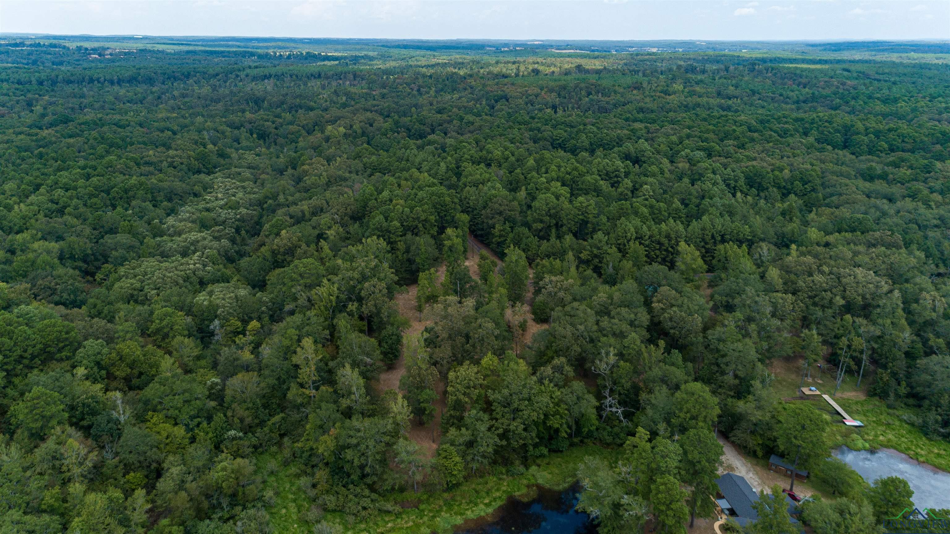 903 Cr 1537, Avinger, Texas image 15