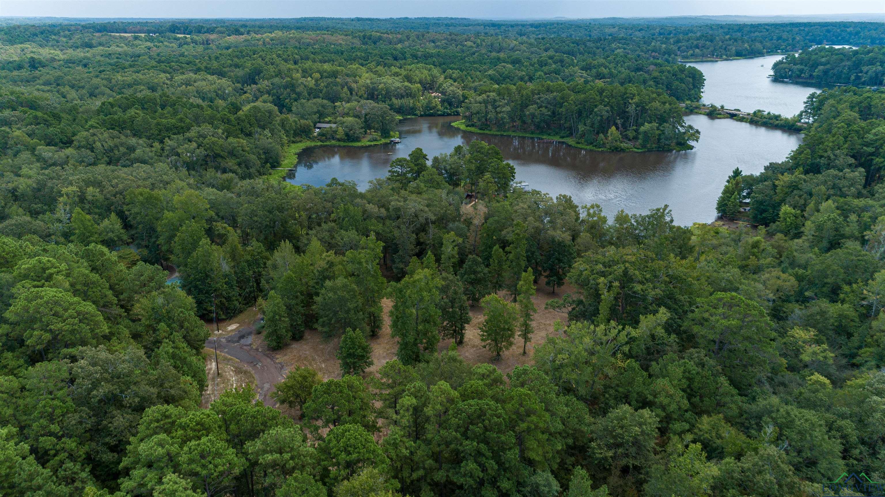 903 Cr 1537, Avinger, Texas image 10