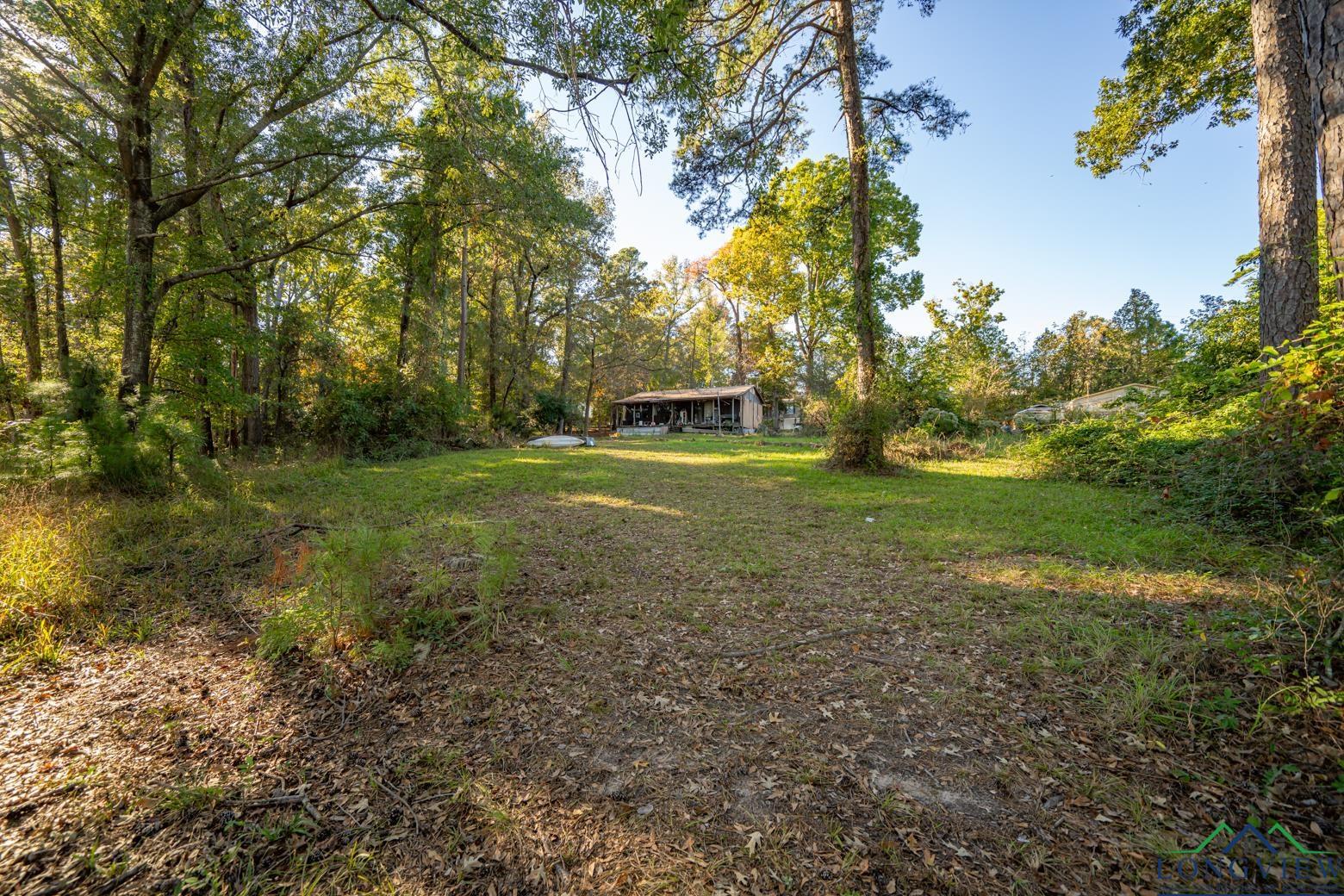 678 Fawn Ln, Avinger, Texas image 10